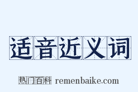 适音近义词是什么意思的图片
